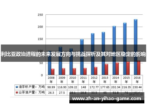 利比亚政治进程的未来发展方向与挑战探析及其对地区稳定的影响