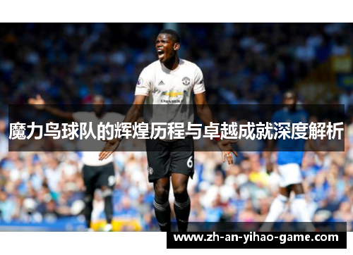 魔力鸟球队的辉煌历程与卓越成就深度解析 魔力鸟球队的辉煌历程与卓越成就深度解析