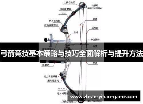 弓箭竞技基本策略与技巧全面解析与提升方法 弓箭竞技基本策略与技巧全面解析与提升方法