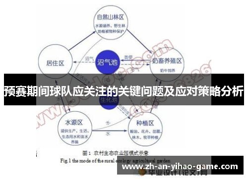 预赛期间球队应关注的关键问题及应对策略分析